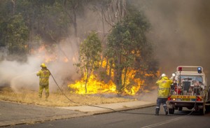 A handout photo from the Australia’s Department of Fire and Emergency Services shows firefighters working to contain wildfires in the Stoneville area, a suburb east of Perth in the state of Western Australia. AFP PHOTO