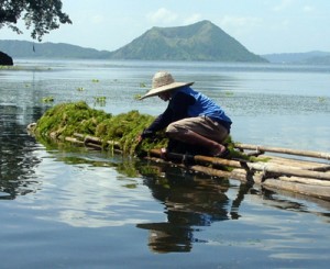 People must be warned that the pollution of the waters and the degradation of the woods may anger the Lady of the Lake again