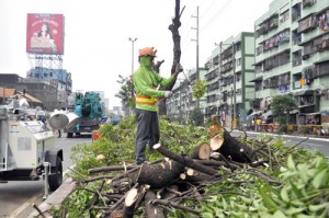  A worker chops branches of trees felled at the site of the construction of the Skyway 3 project along Osmeña Highway. The elevated highway will link the South and North Luzon expressways. PHOTO BY EDWIN MULI 