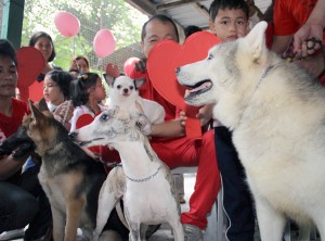 Dog lovers brought their pets to the Malabon Zoo on Wednesday for a special function held for them. The pre-Valentine’s Day gathering was intended to show that people can love their dogs almost as much as they love their partners. PHOTO BY MIKE DE JUAN