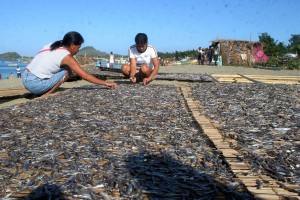 Women prepare dilis fish for drying under the heat of the sun along the seashore of Barangay II Mamburao in Occidental Mindoro. PHOTO BY MIKE DE JUAN 