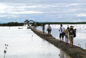 The Ramsar List  of Wetlands  of International Importance recognizes Olango Island for its unique biodiversity inside and out n  The bird sanctuary in Candaba Swamp shows the importance of wetlands as it helps in flood control for the downstream Pampanga River 