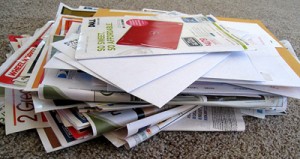 More than 100 million trees are cut down each year to produce junk mail