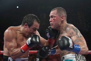 Juan Manuel Marquez (L) lands a left hand to the chin of Mike Alvarado at The Forum in Inglewood, California. AFP PHOTO