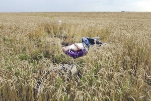 A body lies in a wheat field at the site of the crash of a Malaysia Airlines plane carrying 298 people from Amsterdam to Kuala Lumpur in Grabove, in rebel-held east Ukraine . AFP Photo 