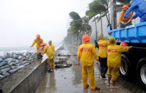 Workers pile sand bags along the sea wall of Roxas Boulevard as Typhoon Glenda hit Metro Manila early Wednesday.  AFP PHOTO