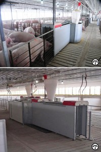 Electronic Sow Feeding (ESF), like this system from Automated Production Systems, enables U.S. pork producers to provide proper animal nutrition to help meet global pork demand.