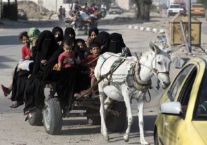 Palestinian women and children sit on a donkey cart as they return home in a Bedouin village near Beit Lahia in northern Gaza Strip on Tuesday, after a 72-hour humanitarian truce went into effect following intense global pressure to end the bloody conflict. AFP PHOTO