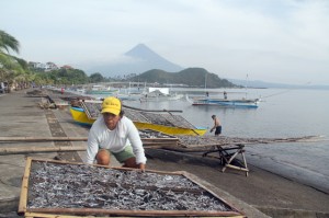 A mother and son drying up salted fishes along the river in Legazpi City, Albay on Sunday with the world famous Mount Mayon in the background. PHOTO BY RHAYDZ BARCIA