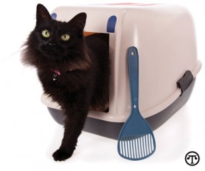 Finding the right cat litter can help with kitty’s potty problems.