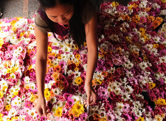  A flower vendor arranges her blooms at the Dangwa flower market in Dimasalang St., Manila. The prices of flowers are expected to rise as All Souls’ Day nears. PHOTO  BY RUY MARTINEZ 