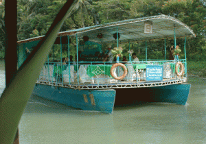 Loboc River is a scenic 11-kilometer stretch of deep green freshwater reflecting the lush forests surrounding the province