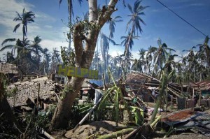 WASTELAND Destroyed houses and trees with a slogan calling for help are seen along a road in the village of Mantang, Taft town in Eastern Samar a day after typhoon Ruby hit the province. AFP PHOTO