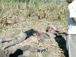 MOWED DOWN  A local official looks at some of the bodies of the slain policemen. PHOTOS COURTESY OF ELY DUMABOC OF MINDANAO EXAMINER 