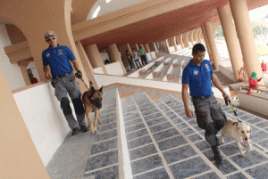 SNIFFING DANGER Security personnel and bomb sniffing dogs patrol the Luneta grandstand as part of security preparations for the observance of the Feast of the Black Nazarene on January 9. PHOTO BY RUY MARTINEZ