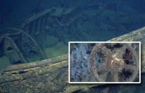 MUSASHI Photos taken on March 2, 2015 and downloaded from Paulallen.com website on March 4, 2015, show an inverted type 89, 12.7 centimeter gun turret and a wheel on a valve believed to be from a lower engineering area of battleship Musashi. AFP PHOTO 
