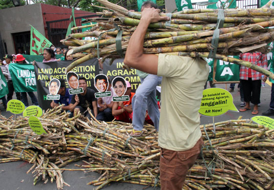 Farmers from Batangas, Negros Occidental and Negros Oriental dump bundles of sugarcane on the driveway leading to the gates of the House of Representatives in Quezon City to dramatize their protest against anti-farmer and anti-land reform lawmakers. PHOTO BY MIKE DE JUAN 