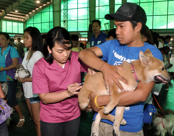 A dog gets a free anti-rabies shot at the Quezon City Memorial Circle. The Quezon City government provides free vaccination, castration and blessing of pets as part of its drive to eradicate rabies. PHOTOS BY MIKE DE JUAN