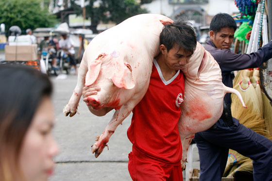  Meat is delivered on Friday to a market on Commonwealth Avenue in Quezon City. The Department of Agriculture has assured the public of stable supply and price of pork and that piggeries in the provinces are not much affected by the El Niño phenomenon being experienced in the country. PHOTO BY MIGUEL DE GUZMAN