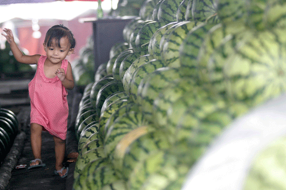 A child plays near a stack of watermelons at a market in Quezon City. Watermelons, sold whole or sliced, are one of the top selling fruits during the hot summer months. PHOTO BY MIGUEL DE GUZMAN