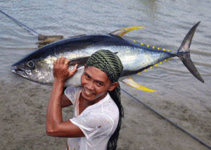 A 42-kilogramme yellowfin tuna (Thunnusalbacares) is the prized catch of this fisher from the Philippines. WWF, Philips and the Municipality of San Jose have partnered to illuminate the San Jose Port, a tuna landing site with solar-powered LED lights. (Gregg Yan / WWF-Philippines)