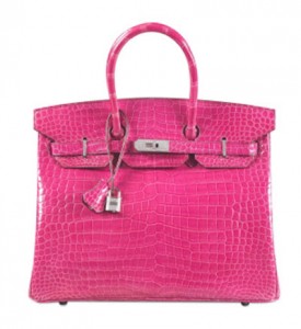 The crocodile-skin Hermes handbag, part of the 