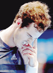 Andy Murray  AFP PHOTO