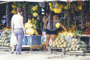 Fresh fruits, most of them organic, can be bought at the roadside stalls in Tagaytay.