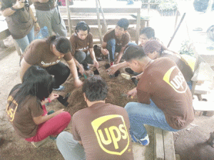 UPS Foundation donates approximately P1,500,000 Haribon to help restore one million hectare of forrests by 2020