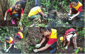 The employees get down and dirty to plant seedlings at Mts. Banahaw-San Cristobal Protected Landscapes