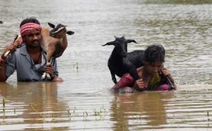 FREE RIDE  An Indian couple carry their goats through flood waters in Hooghly district in West Bengal state on Saturday. Rivers burst their banks, hitting thousands of villages in parts of West Bengal as well as northeastern Manipur state, where roads and bridges have been cut. AFP PHOTO