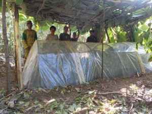 The Alangan community established a growth chamber for 1,300 wildlings of various native species including Malugai, Lauan, Amoguis, Malak-malak and Putat