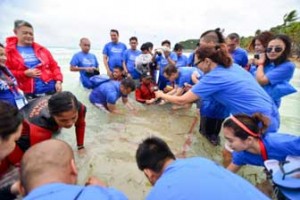 Hyundai coral seeding in Boracay