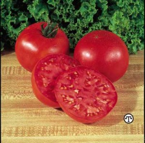 Seed producers such as W. Atlee Burpee & Co. used selective breeding to create iconic vegetables such as the “Big Boy” tomato