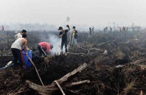 ON THEIR OWN  This photo taken on October 27 shows volunteers extinguishing a peatland fire in the outskirts of Palangkaraya, a city of 240,000 in Indonesia’s Central Kalimantan province. AFP PHOTO