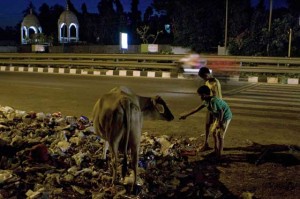 RELIGIOUS ICON Indian children offer food to a cow as it grazes on plastics and leftover food at a garbage dump on a roadside in New Delhi late October 3. Cows are considered sacred in India and their slaughter is banned in some states in the country. Indian police arrested six people on September 30 and two more on October 3, after a 50-year-old Muslim man was beaten to death over rumors he had eaten beef, a taboo in the Hindu-majority nation. AFP PHOTO