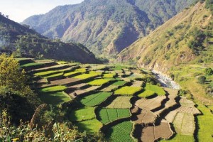 E2---Rice-Terraces-20151103