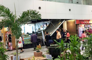 AIRPORT ACCIDENT Part of a ceiling of a restaurant at Terminal 3 of the Ninoy Aquino International Airport collapsed on Thursday morning, injuring an American passenger. This photo was posted on social media by Kherwin Cheng Chua. 