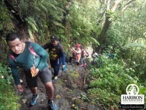 Volunteers trek to Mt. San Cristobal-Banahaw Protected Lanscape to plant one hectare of native seedlings