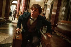  Oscar winner Eddie Redmayne (The Theory of Everything) stars in the central role of wizarding world magizoologist Newt Scamander