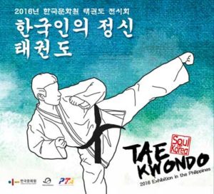 Tae-Kwondo20160608