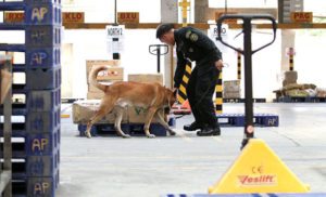 BOMB SEARCH A member of the Aviation Security Group and his bomb sniffing dog inspects packages at the cargo office in Pasay City a day after bomb threats rocked schools in Metro Manila. PHOTO BY RUSSELL PALMA 