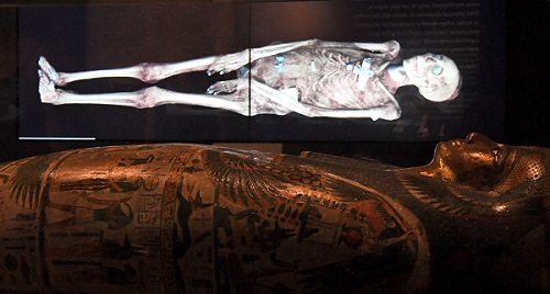 A three-dimensional image of a CT scan of an Egyptian mummy is projected above a sarcophagus as the hidden secrets of Egyptian mummies up to 3,000 years old have been virtually unwrapped and reconstructed for the first time using cutting-edge scanning technology in a joint British-Australian exhibition in Sydney on Thursday. AFP PHOTO 