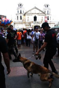 SNIFF A Philippine Army bomb-sniffing dog goes around the Minor Basilica of the Black Nazarene in Quiapo to check for explosives ahead of Monday’s annual procession. Several measures are being put in place to prevent a terror attack, such as two-day gun ban in Manila. PHOTO BY ROGER RAÑADA