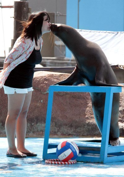 A sea lion kisses a woman during a show at the Manila Ocean Park. The marine park drew crowds, mostly children, on New Year’s day. PHOTO BY ROGER RANADA