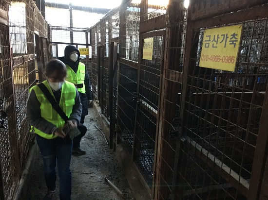 China to ensure humane animal slaughter | The Manila Times