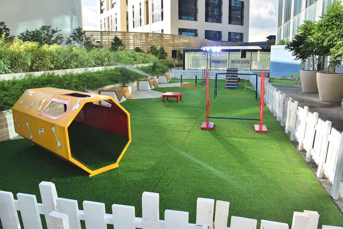 Dogs can freely enjoy outdoors in a pet obstacle course which include the Hoop Jump, Tube Tunnel, A-Frame Ramp, Adjustable Dog Hurdle, Weave Poles and Pause Table.